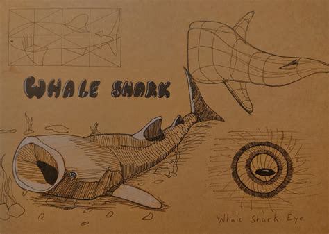 Whale shark study : r/drawing