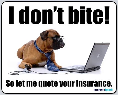 Health Insurance Agent Meme as well Health Insurance Cartoons Funny ...