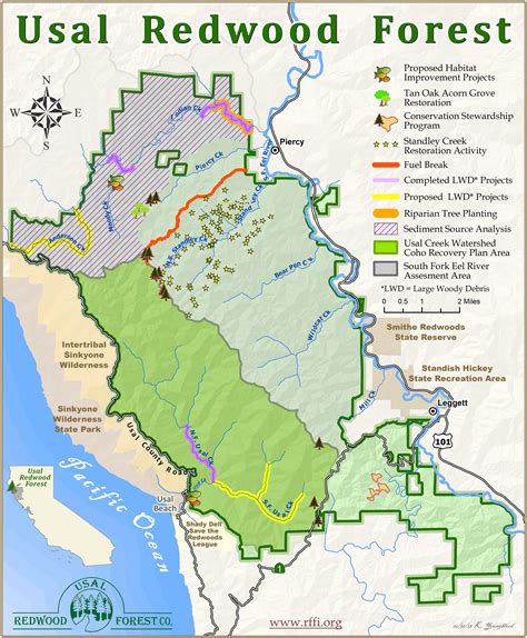 Giant Redwoods California Map – Topographic Map of Usa with States