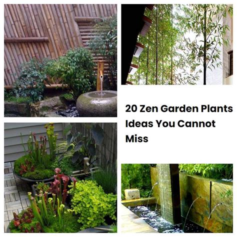 20 Zen Garden Plants Ideas You Cannot Miss | SharonSable