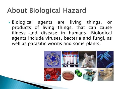 SOLUTION: Biological Hazards - Studypool