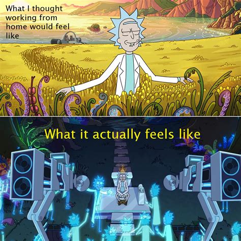 I made my first Rick and Morty meme because I'm so fulfilled. : r ...