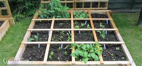 Planning a Square Foot Vegetable Garden