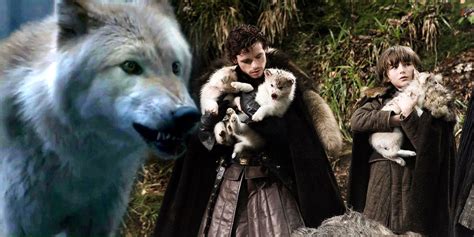 Game of Thrones: The Direwolves Foreshadowed Every Stark's Fate ...