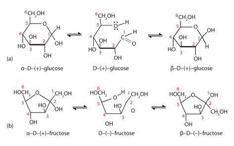 Structure Of Monosaccharides