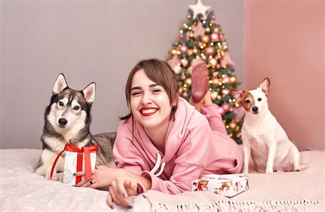 Creative Tips for Pet-Themed Christmas Cards | Snapfish IE