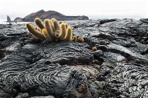 Volcanoes of the Galapagos Islands - Ecuador & Galapagos Insiders