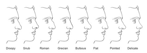 Jeff Searle: Drawing the nose