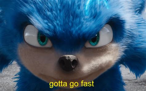 Meme Generator - Sonic ‘Gotta go fast’ - Newfa Stuff