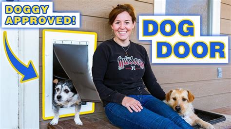 DIY Dog Door | Easily Install A Dog Door In A Wall