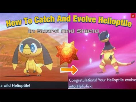 helioptile evolution pokemon sword - aron-mezquita