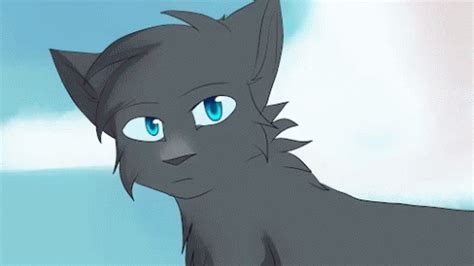 Warrior Cats GIF - WarriorCats - Discover & Share GIFs