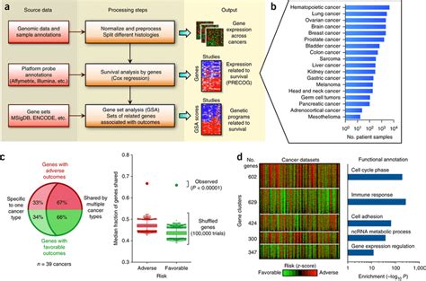 - Human Gene Expression Test