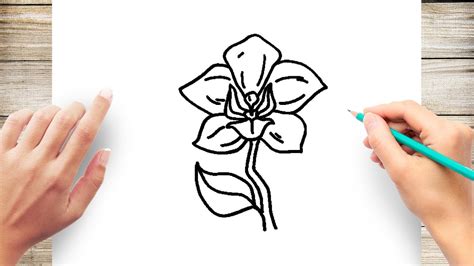 Top 60+ orchid sketch easy super hot - seven.edu.vn