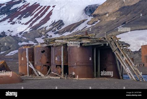 Ruined remains of a historical whaling station destroyed by a volcano ...