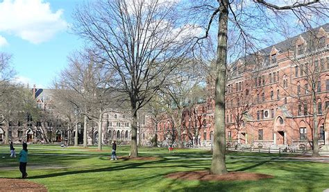 Yale University: Reviews and Ranking for 2025