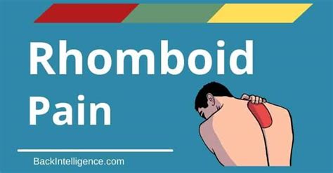 Rhomboid Muscle Pain Relief Exercises - Back Intelligence