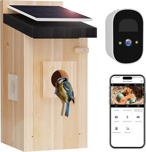 Amazon.com: Bird House with Camera - Solar Powered Birdhouse Camera ...