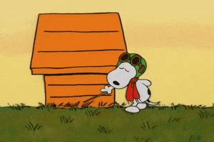 Charlie Brown Halloween GIF by Peanuts