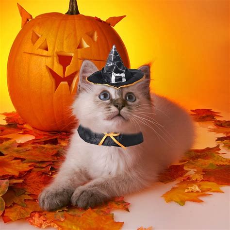 Cat Witch Costume | Best Cat Costumes For Halloween 2020 | POPSUGAR ...