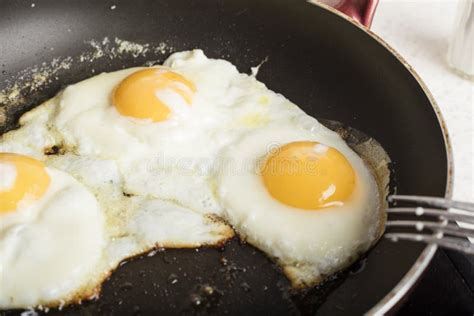 Fried Eggs Fried in a Frying Pan. Stock Photo - Image of breakfast ...