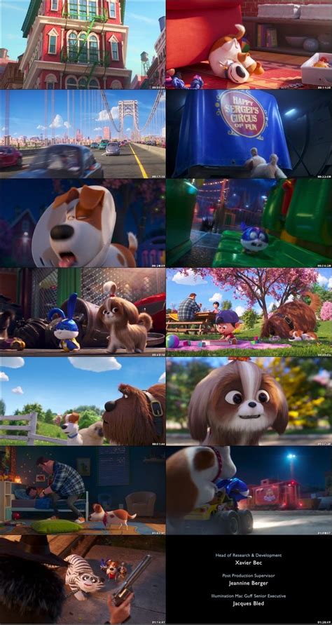 The Secret Life of Pets 2 (2019) Movie [Hindi + English]