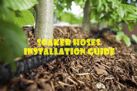 Soaker Hose Installation In Your Garden | The Rex Garden