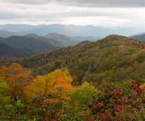 Tennessee Fall Colors- 15 Great Places to Enjoy Fall Foliage