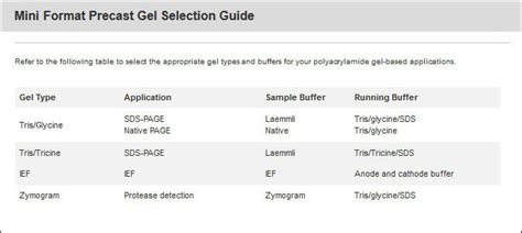 Sds Page Gel Recipe Table | Bryont Blog