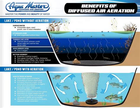 Aeration Systems (2)