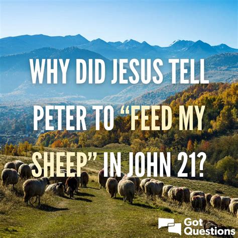 Why did Jesus tell Peter to “feed my sheep” in John 21? | GotQuestions.org