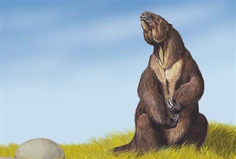 How big were the giant ground sloths? |The Sloth Conservation Foundation