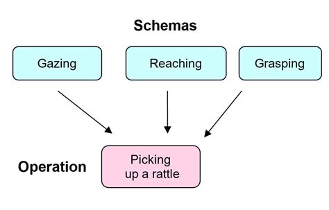 Piaget's Schematic Development Theory Piaget Schema Theory I