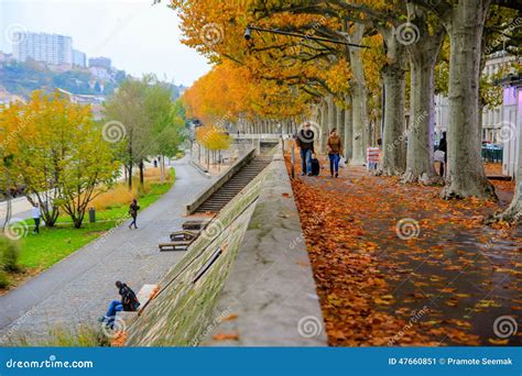 Lyon river park , France editorial photo. Image of colorful - 47660851