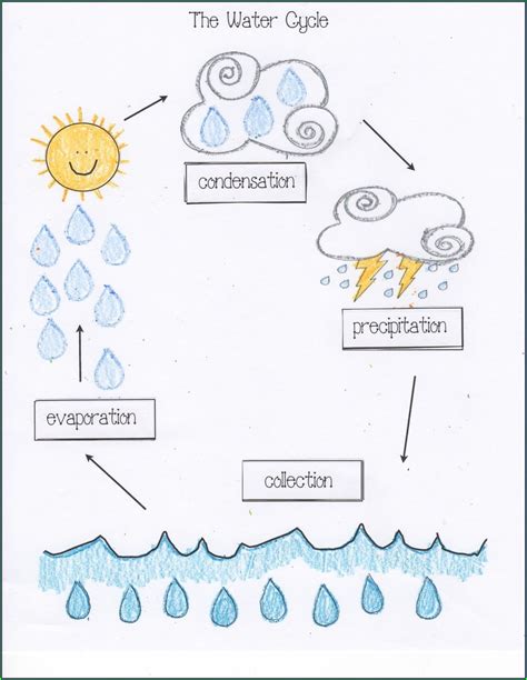 Water Cycle Vocabulary Worksheet Pdf Worksheet : Resume Examples