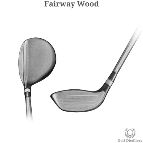 Fairway Wood - Golf Club Type - Illustrated Definition & Guide