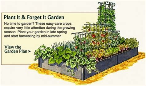 Vegetable Garden Planner - Layout, Design, Plans for Small Home Gardens