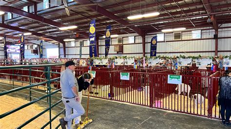 Livestock Area at Ventura County Fair