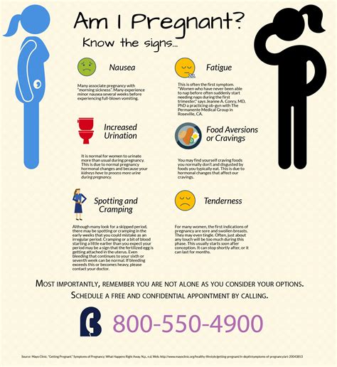 Stages Of Pregnancy Week By Week Symptoms