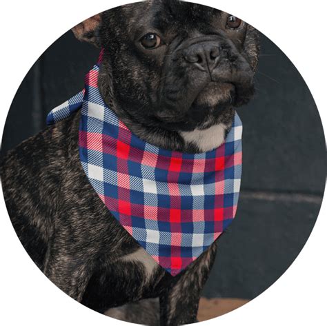 Create Personalized Custom Dog Bandanas – No Money Upfront