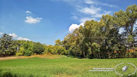 Country landscape with trees background 21036