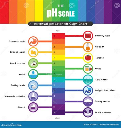 The PH Scale Universal Indicator PH Color Chart Diagram Cartoon Vector ...