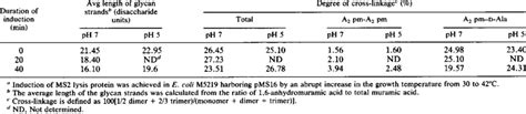 Murein structure after induction of the MS2 lysis proteina during ...