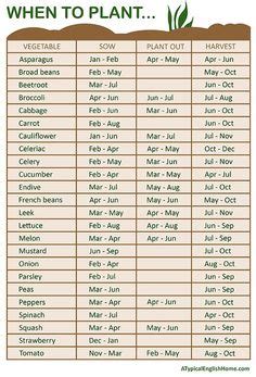 12 Best Vegetable planting calendar ideas | veggie garden, vegetable ...