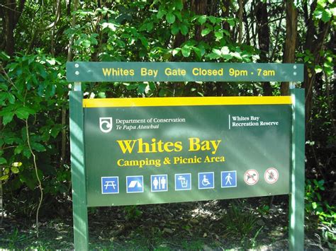 Whites Bay Campsite - Blenheim area, Marlborough, NZ - 70 travel ...