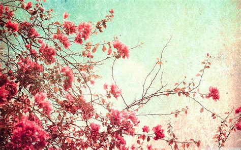 Vintage Flowers Wallpapers - Wallpaper Cave