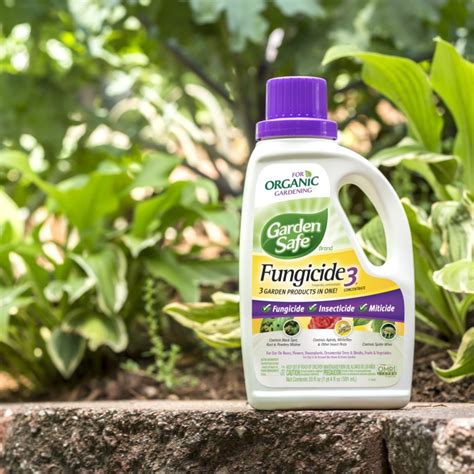 Natural Fungicide For Garden Soil - Pest Phobia