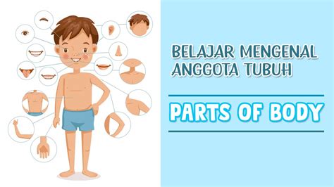 Belajar Mengenal Anggota Tubuh | PART OF THE BODY - YouTube