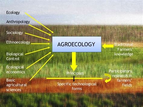 Agroecology: Principles and Practices