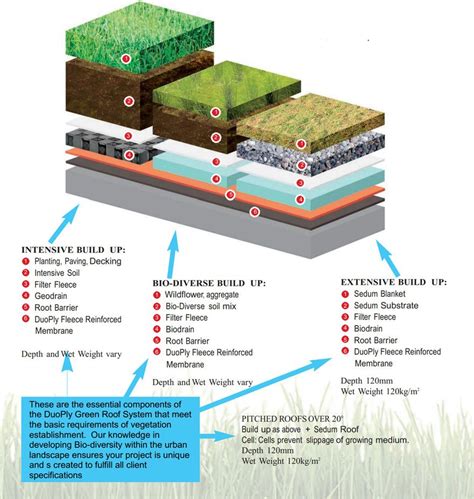 Green Roofs | Eco Friendly Flat Roofing | DuoPly | AR Systems | Green ...